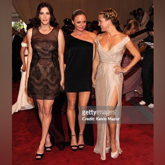 Stella McCartney Bolsena Dress Mini Mesh Overlay Embroidered Black Beige Red 40 - Picture 16 of 16